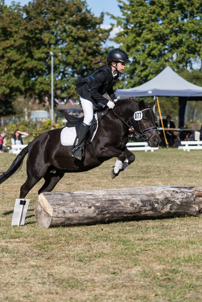 Bild 251 - Pony Akademie Turnier